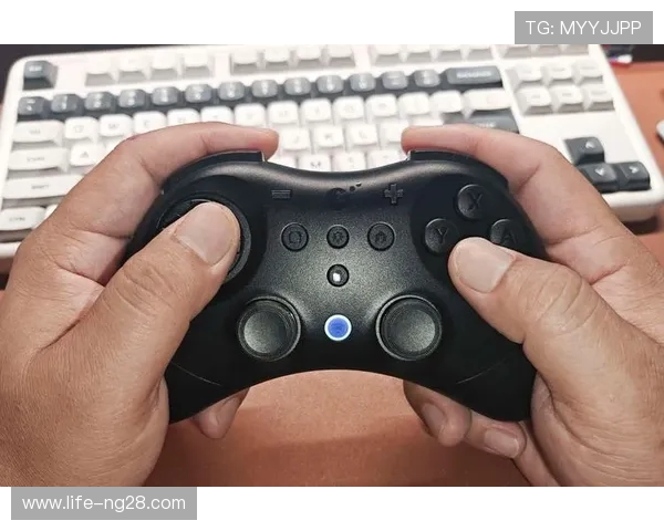 D6DP手柄适配的热门游戏推荐及使用体验解析